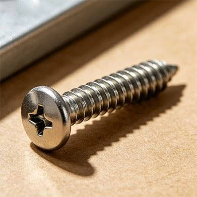 Metal Door Frame Hinge Screws factory
